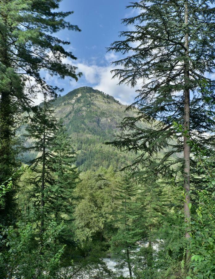 Parvati Kuteer Riverside Resort Kasol Zewnętrze zdjęcie